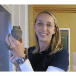 Photo of Kristine Grayson