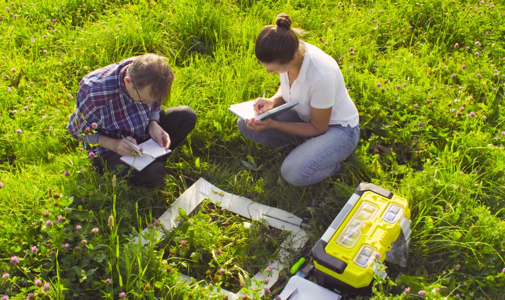 Photo of two ecologists sampling vegetation in a meadow