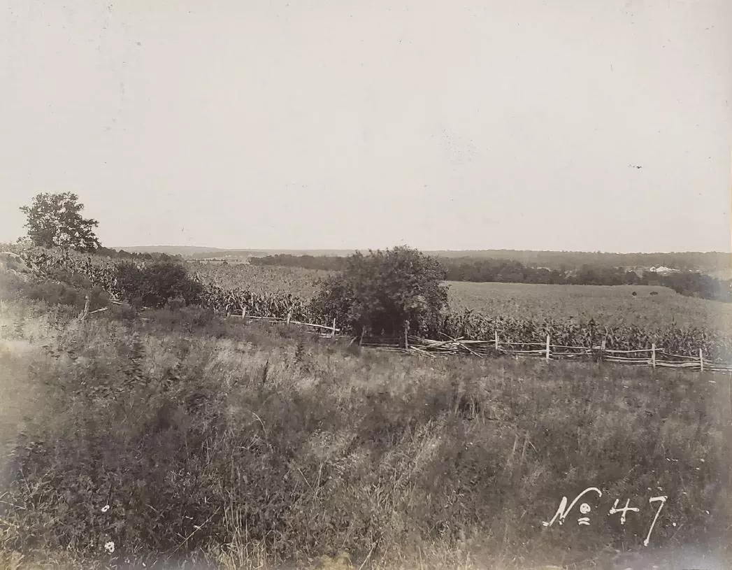 Photograph taken north of the Ball Family Cemetery facing northeast looking over a cornfield on Portici farm.